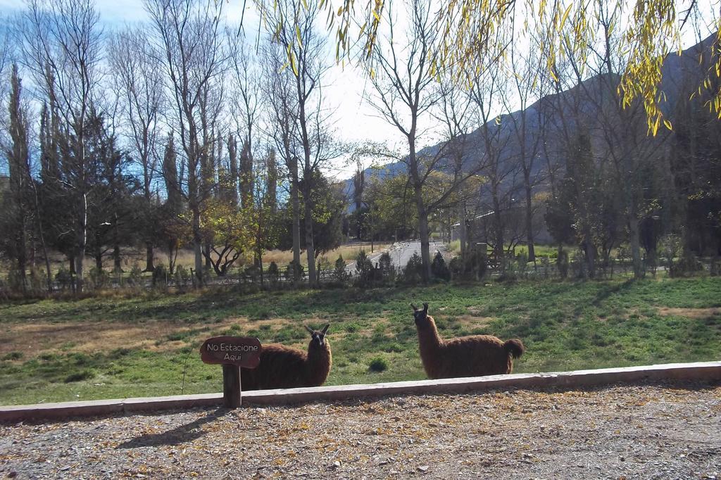 Posada Inti Tanpu Tilcara Exterior foto